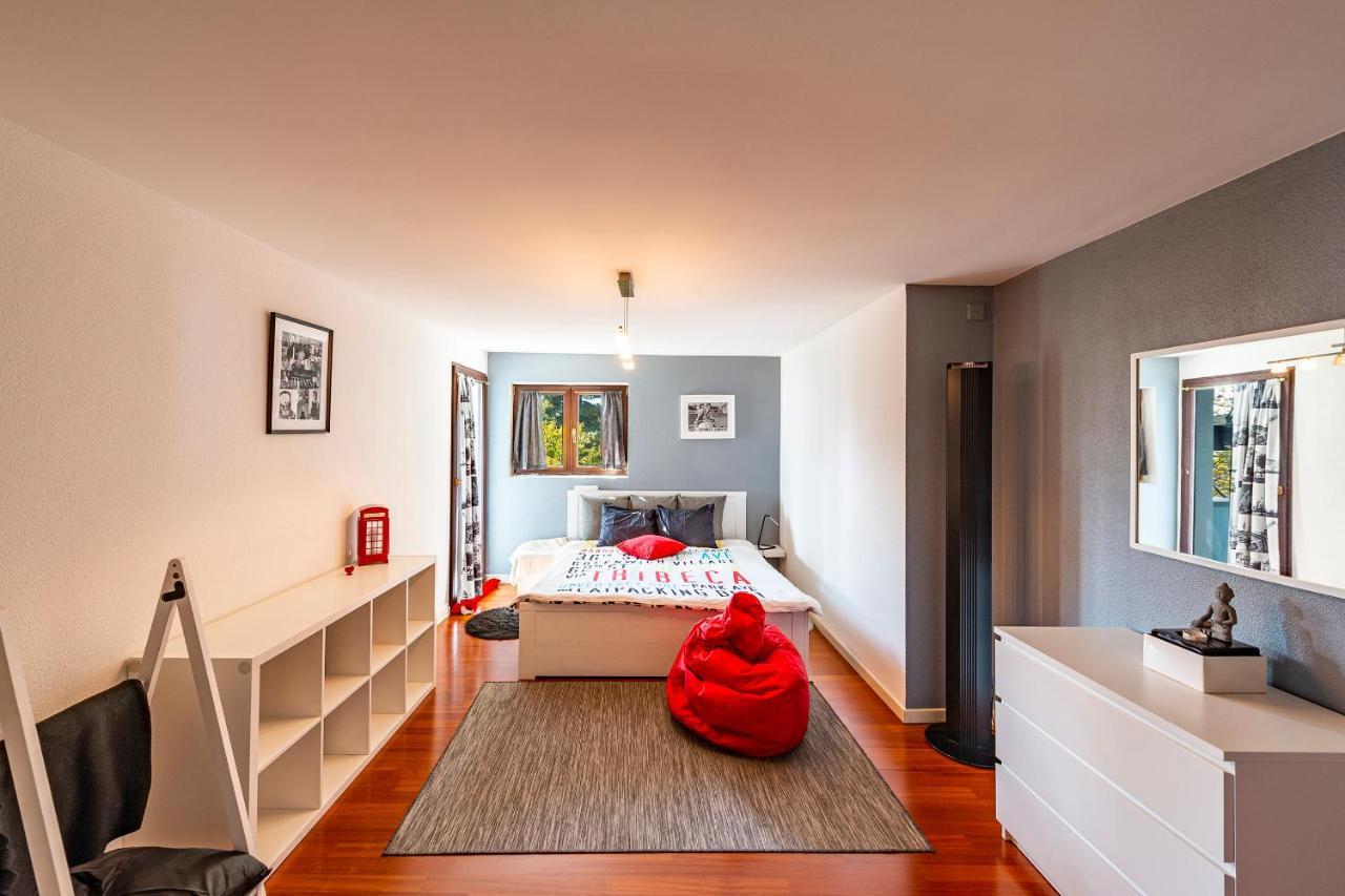 Casa Alma Βίλα Brione sopra Minusio Εξωτερικό φωτογραφία